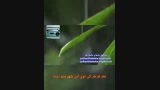 اهنگ امیر فرجام بنام بارون