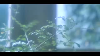 君さえいなけりゃ feat. 春茶 / コバソロ