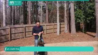 آموزش حمله کردن به سگ