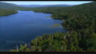 موسیقی فوق العاده زیبا و احساسی بیکلام/11