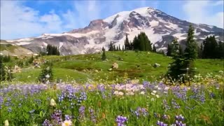 موسیقی فوق العاده زیبا و احساسی بیکلام/12