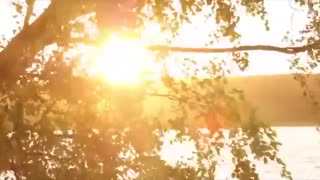 موسیقی فوق العاده زیبا و احساسی بیکلام/13