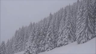 موسیقی فوق العاده زیبا و احساسی بیکلام/16