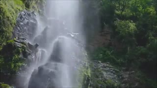 موسیقی فوق العاده زیبا و احساسی بیکلام/14