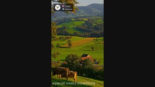 داستان پیرمرد