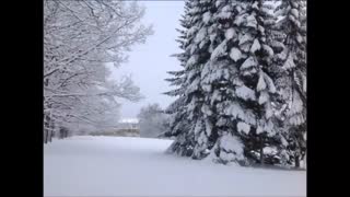 موسیقی فوق العاده زیبا و احساسی بیکلام/22