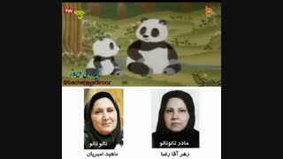 تائو تائو