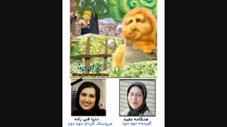 السون و ولسون