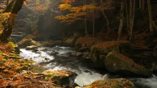 موسیقی فوق العاده زیبا و احساسی بیکلام/25