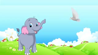 عینادکار فیل بالاسی-ناغیل