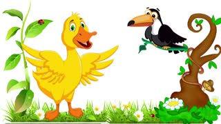 بوْش بوْغاز اؤردک-ناغیل