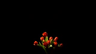 سخنانی خواندنی درباره عشق از بزرگان جهان