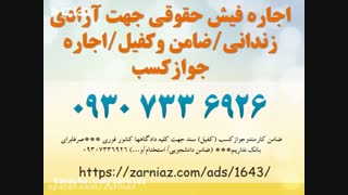 ضامن فیش حقوقی برای دادگاه09307336926دادرس ایرانیان