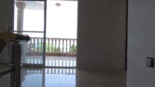 اجاره ویلای ساحلی و استخردار با جابیت