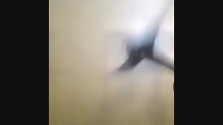 ظنز _باحال_خنده دار_جالب
