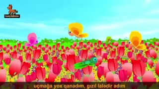 سئرچه-ماهنی،انیمئیشِن