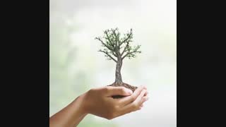 روز درختکاری