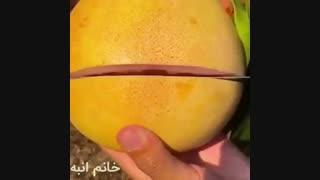 45-گریپ فروت