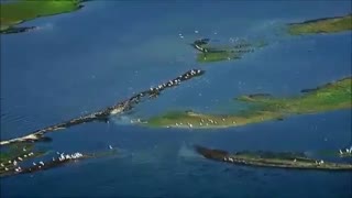 موسیقی فوق العاده زیبا و احساسی بیکلام/42