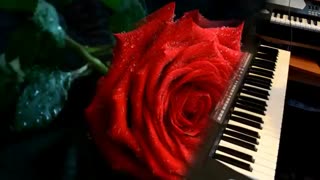 موسیقی فوق العاده زیبا و احساسی بیکلام/47