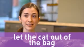 آموزش اصطلاحات رایج در زبان انگلیسی