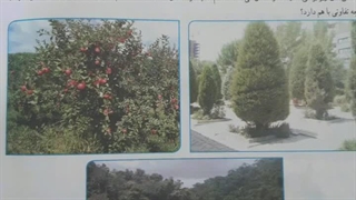 مدارس جوانه های مشهد تدریس علوم خانم نیکوفکر درس دوازدهم بخش دوم