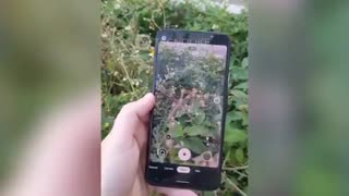 ویدیو هندزان پیکسل 4A گوگل که مشخصات فنی و جزئیات دوربین آن را لو می‌دهد