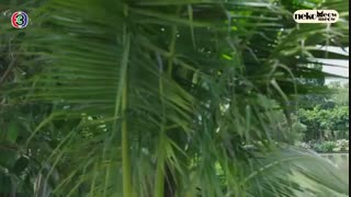 (قسمت بیست و پنجم)سریال تایلندی تو من هستی you are me 2018 با زیرنویس فارسی