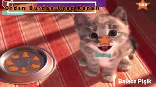 بالاجا پیشیک-ماهنی