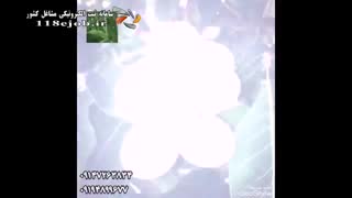 نهالستان گردو خوش دست در خوی