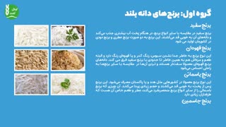آشنایی با انواع برنج در سرتاسر دنیا