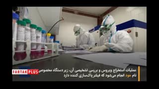 فرایند تشخیص کرونا در آزمایشگاه را ببینید