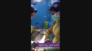 زایمان سزارین ریحانه