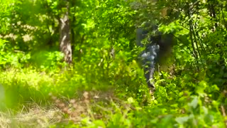 ایده هایی برای فرار از دست زامبی ها