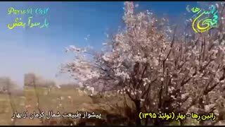 آهنگ شاد و عاشقانه بهار از راتین رها + پیشواز طبیعت از بهار