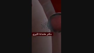 فیلم مراحل تشکیل جنین