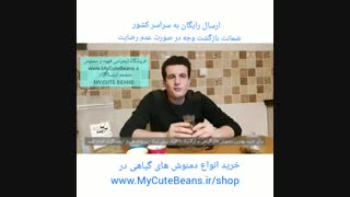 طرز تهیه چای بابونه - مخصوص سرما خوردگی و  درد معده