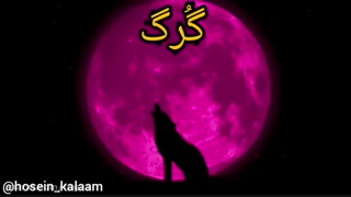 حسین کلام   زوزه گرگ   کلیپ خفن  فیلم ترسناک   ویروس کرونا  عید نوروز  سال موش