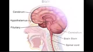 آزمایشگاه پاستور اهواز