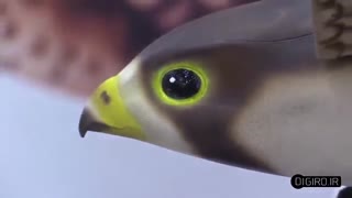 برترین ربات ها که از روی حیوانات ساخته شده اند