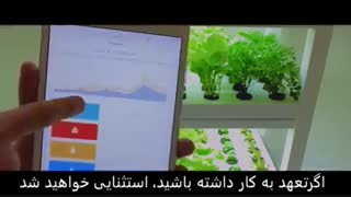 فرصت های کار یابی