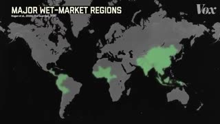Why new diseases keep appearing in China