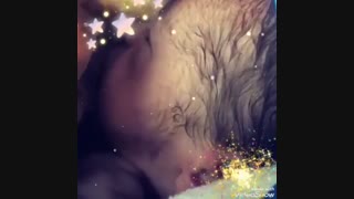 فیلم زایمان طبیعی