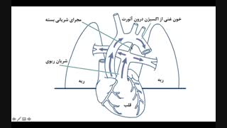 گذر از جنین به نوزاد