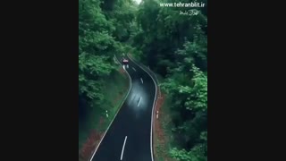 رانندگی توی جنگل