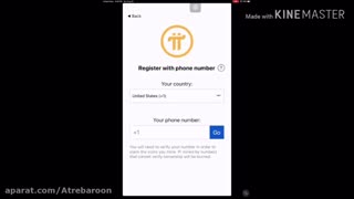 ارز دیجیتال پای - پی Pi Networking