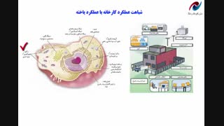 تدریس فصل 11 علوم هفتم