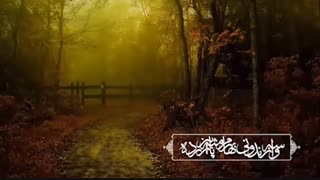 پادکست تبریک عید نوروز 1399