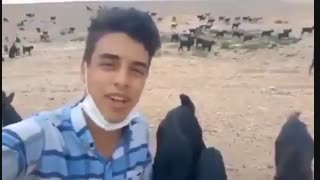سروش رضایی خواننده نوجوان