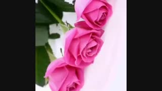 کلیپ جذاب به مناسبت عید نوروز